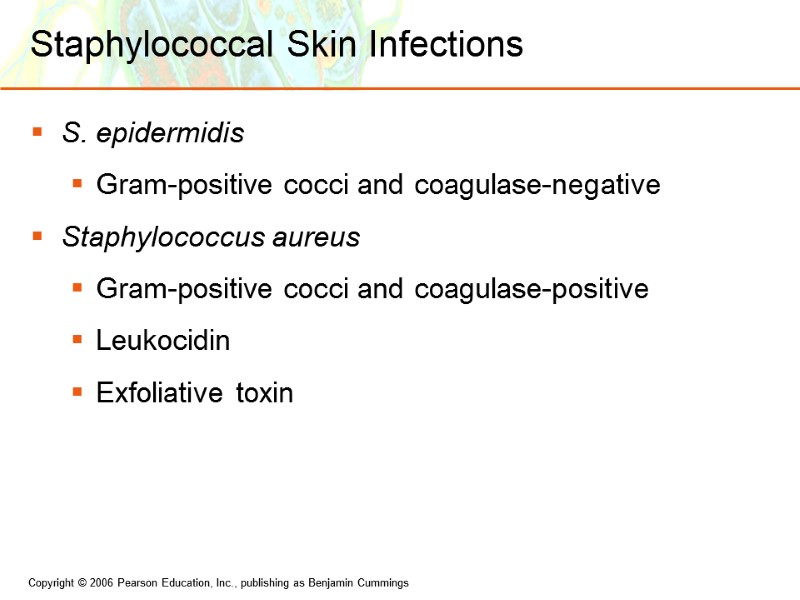 Staphylococcal Skin Infections S. epidermidis Gram-positive cocci and coagulase-negative Staphylococcus aureus Gram-positive cocci and